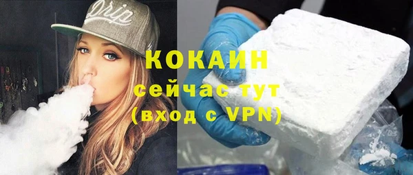 крисы Гусь-Хрустальный