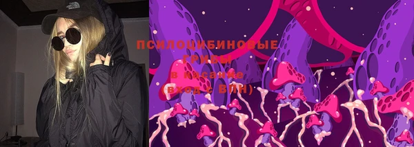 каннабис Дмитров
