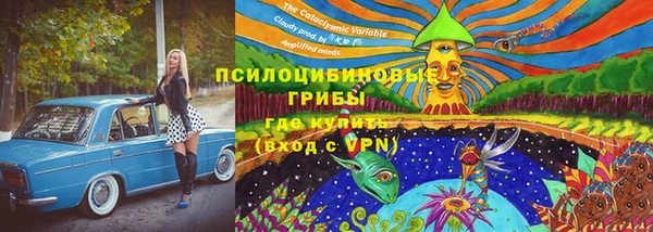 бутират Дмитровск