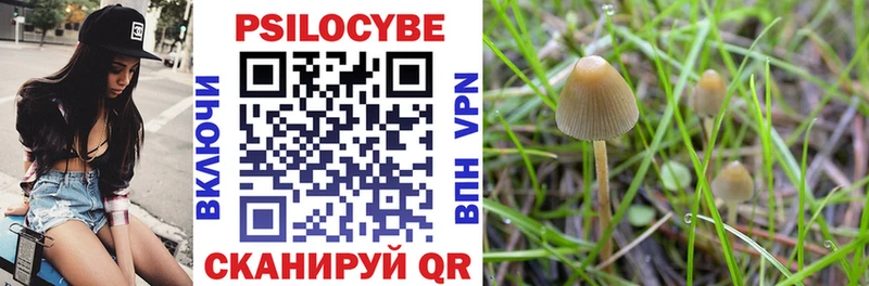 купить наркотики цена  Озёры  Галлюциногенные грибы Magic Shrooms 